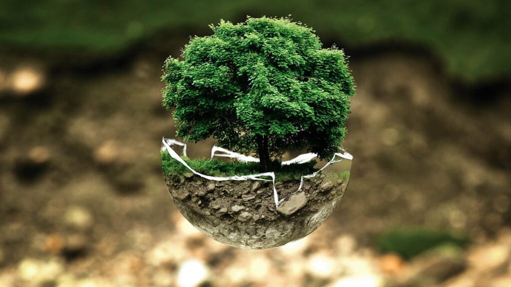 environmental-protection-683437_1280 sostenible